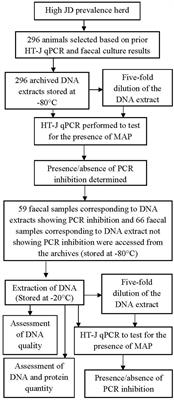 PCR Inhibition of a Quantitative PCR for Detection of Mycobacterium avium Subspecies Paratuberculosis DNA in Feces: Diagnostic Implications and Potential Solutions